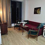 30 ლარი ღამე, ბინა დღიურად