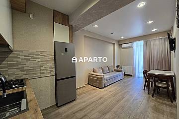 70 ლარი ღამე, ბინა დღიურად
