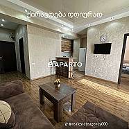 30 ლარი ღამე, ბინა დღიურად