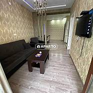 130 ლარი ღამე, ბინა დღიურად