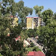 150 ლარი ღამე, ბინა დღიურად