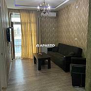 120 ლარი ღამე, ბინა დღიურად