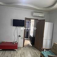 70 ლარი ღამე, ბინა დღიურად