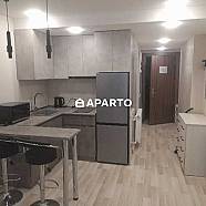 100 ლარი ღამე, ბინა დღიურად