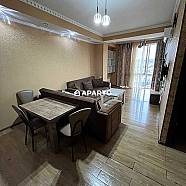 50 ლარი ღამე, ბინა დღიურად