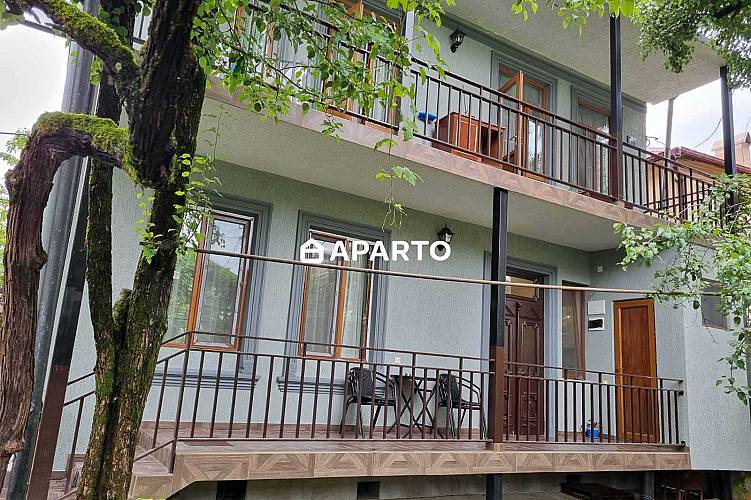 100 ლარი ღამე, ბინა დღიურად