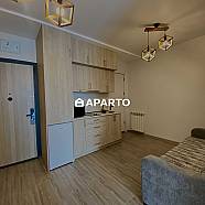 120 ლარი ღამე, ბინა დღიურად