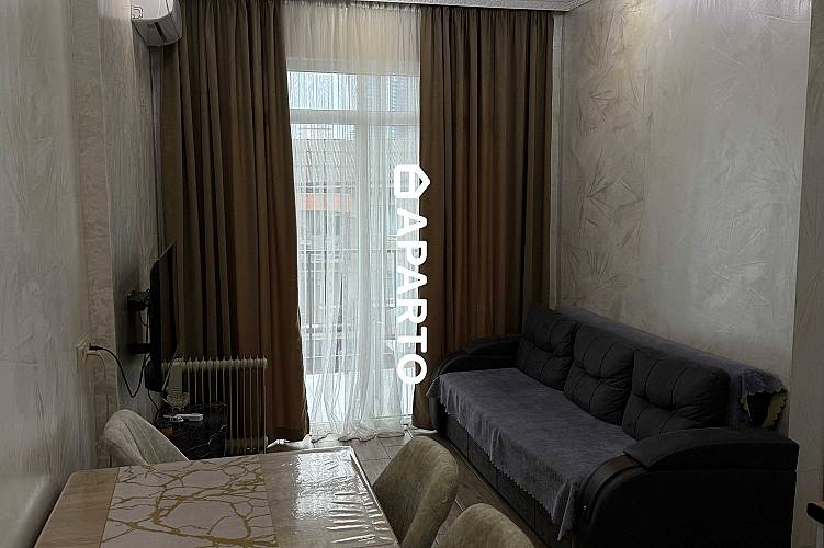 100 ლარი ღამე, ბინა დღიურად