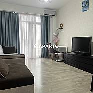 170 ლარი ღამე, ბინა დღიურად