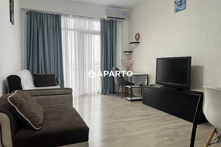 170 ლარი ღამე, ბინა დღიურად