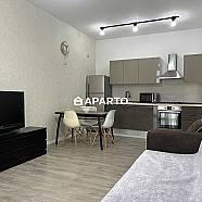 170 ლარი ღამე, ბინა დღიურად