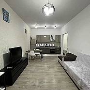 190 ლარი ღამე, ბინა დღიურად