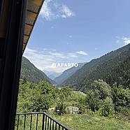 300 ლარი ღამე, ბინა დღიურად