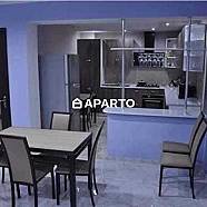 400 ლარი ღამე, ბინა დღიურად