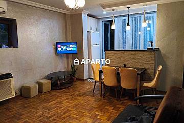 120 ლარი ღამე, ბინა დღიურად