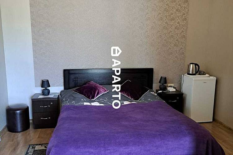 80 ლარი ღამე, ბინა დღიურად