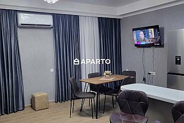 120 ლარი ღამე, ბინა დღიურად