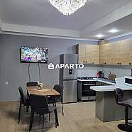 120 ლარი ღამე, ბინა დღიურად