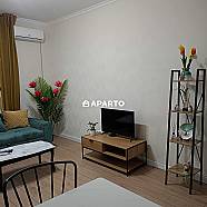 80 ლარი ღამე, ბინა დღიურად