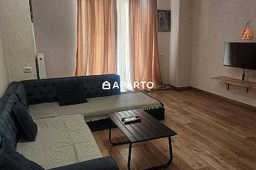 60 ლარი ღამე, ბინა დღიურად