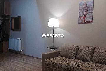 80 ლარი ღამე, ბინა დღიურად