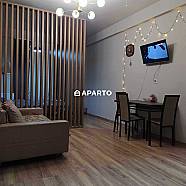 80 ლარი ღამე, ბინა დღიურად