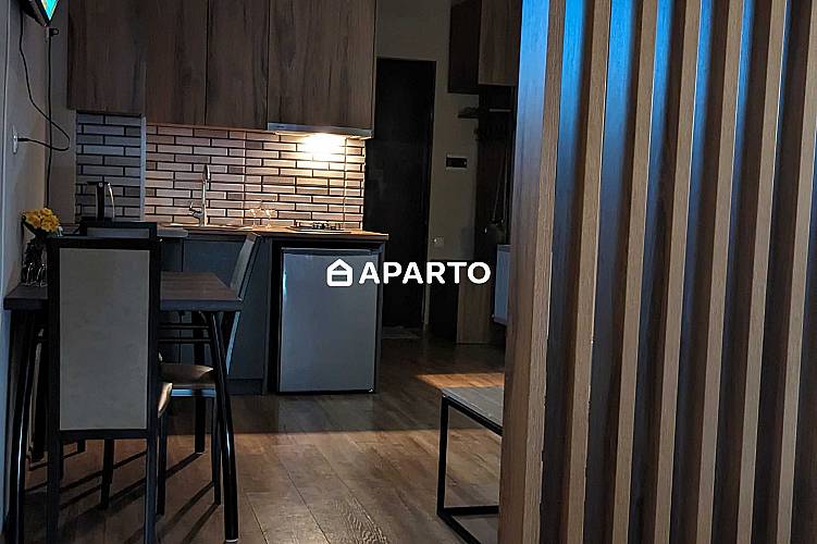 80 ლარი ღამე, ბინა დღიურად