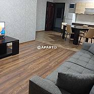 80 ლარი ღამე, ბინა დღიურად