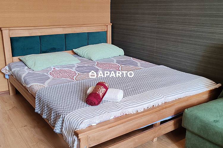 50 ლარი ღამე, ბინა დღიურად