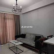 30 ლარი ღამე, ბინა დღიურად