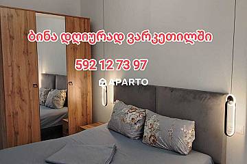 30 ლარი ღამე, ბინა დღიურად