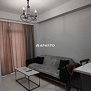 30 ლარი ღამე, ბინა დღიურად