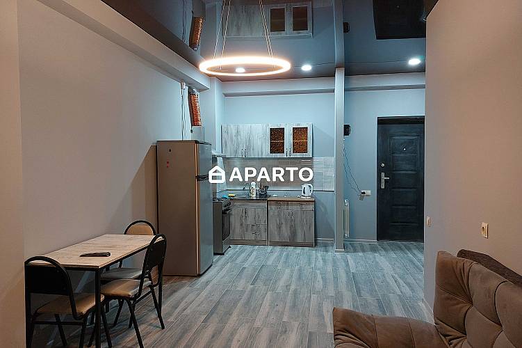 80 ლარი ღამე, ბინა დღიურად