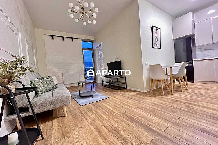 100 ლარი ღამე, ბინა დღიურად