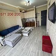 60 ლარი ღამე, ბინა დღიურად