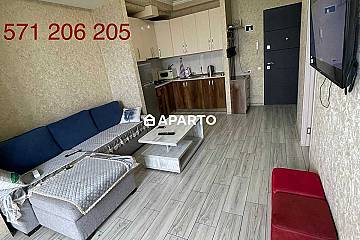 60 ლარი ღამე, ბინა დღიურად