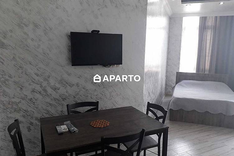 70 ლარი ღამე, ბინა დღიურად