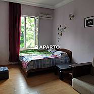 450 ლარი ღამე, ბინა დღიურად