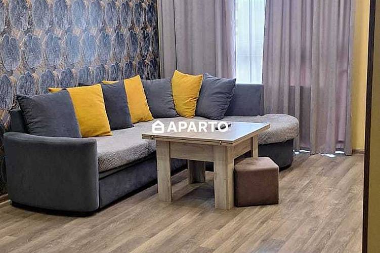 80 ლარი ღამე, ბინა დღიურად