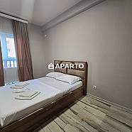 120 ლარი ღამე, ბინა დღიურად