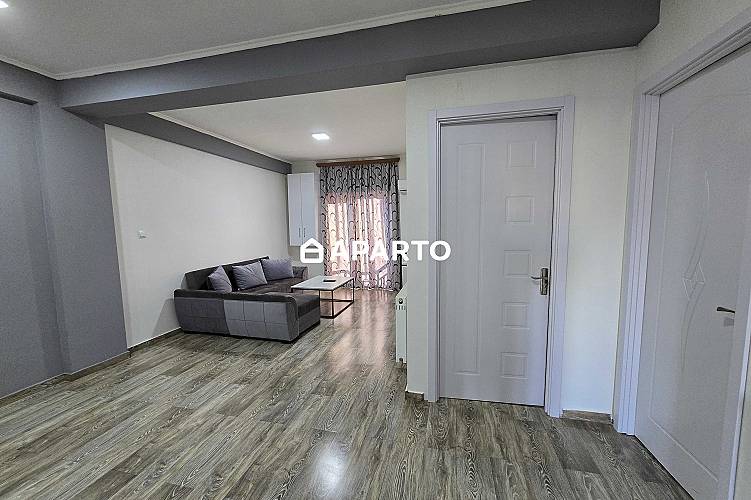 50 ლარი ღამე, ბინა დღიურად