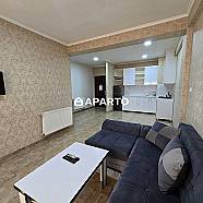 50 ლარი ღამე, ბინა დღიურად