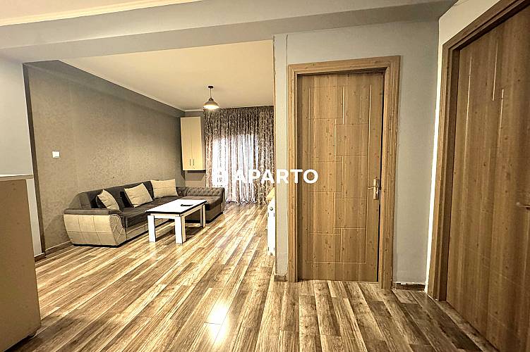 50 ლარი ღამე, ბინა დღიურად