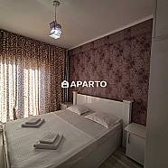 50 ლარი ღამე, ბინა დღიურად