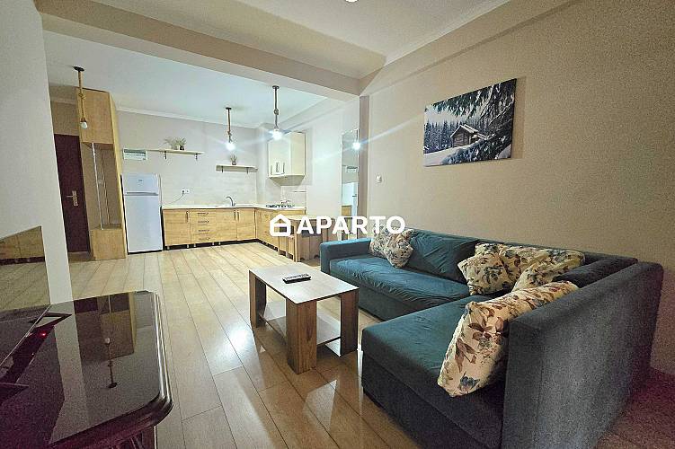 50 ლარი ღამე, ბინა დღიურად