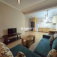 50 ლარი ღამე, ბინა დღიურად