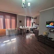 80 ლარი ღამე, ბინა დღიურად
