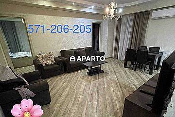 150 ლარი ღამე, ბინა დღიურად