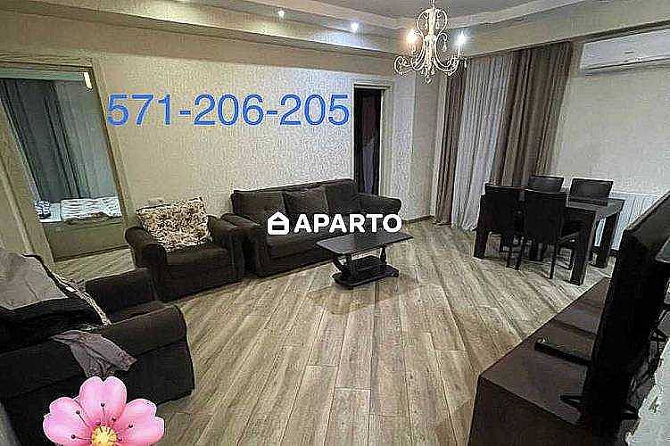 150 ლარი ღამე, ბინა დღიურად