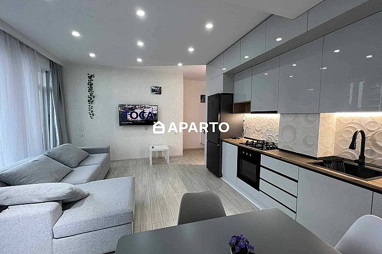 210 ლარი ღამე, ბინა დღიურად